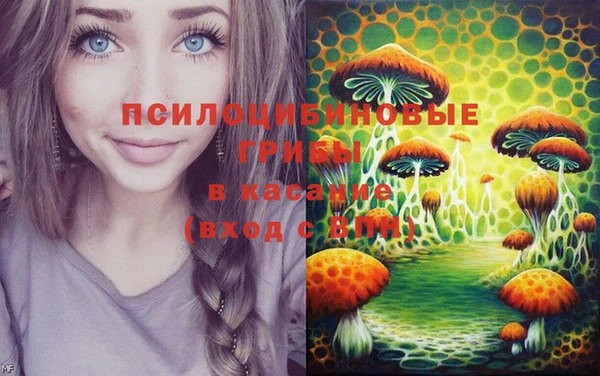 экстази Алексин