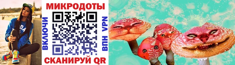 Галлюциногенные грибы мухоморы  Жиздра 
